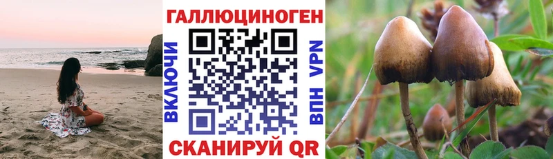 Галлюциногенные грибы прущие грибы Купить где Валдай