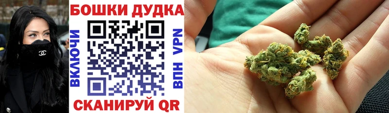 Купить  Валдай  Шишки марихуана планчик 